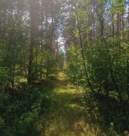 Ferienwohnung Stacja Roztocze Majdan Kasztelanski Exterior foto