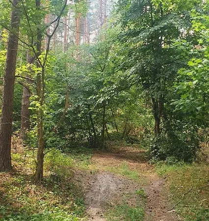 Ferienwohnung Stacja Roztocze Majdan Kasztelanski Exterior foto